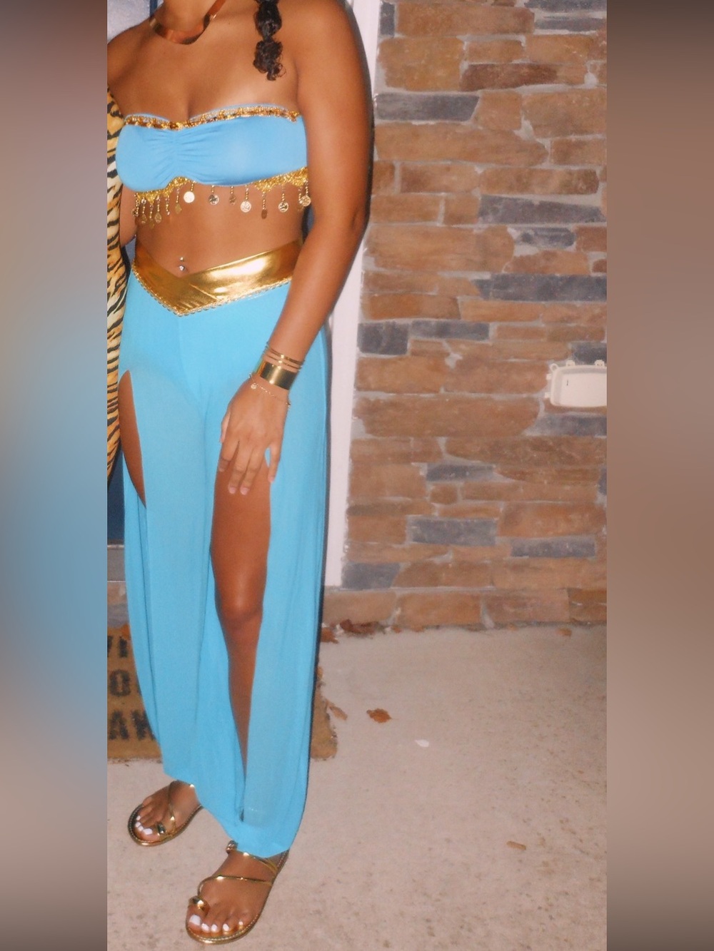 Jasmine halloween costume with accessories